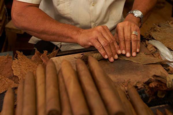 quy trình sản xuất cigar