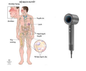 Khám Phá Những Công Dụng Bất Ngờ Của Máy Sấy Tóc Cho Sức Khỏe